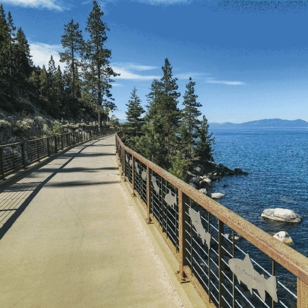 Lake Tahoe Summer Things To Do – East Shore Bike Trail Lake Tahoe Summer Things To Do - East Shore Bike Trail